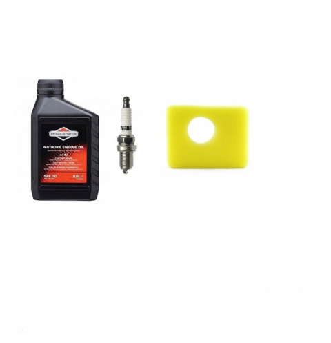 Zestaw Serwisowy Briggs&Stratton 450E 500E